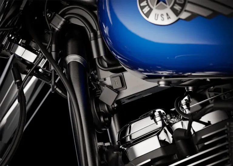 Detailaufnahme eines Harley-Davidson Motors mit blauer Tankfarbe und sichtbaren Chromteilen.