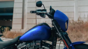 2026-low-rider-s-beauty-ls-0