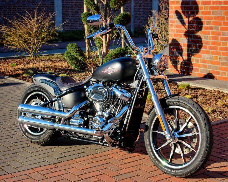 Harley-Davidson Low Rider Umbau - 2021