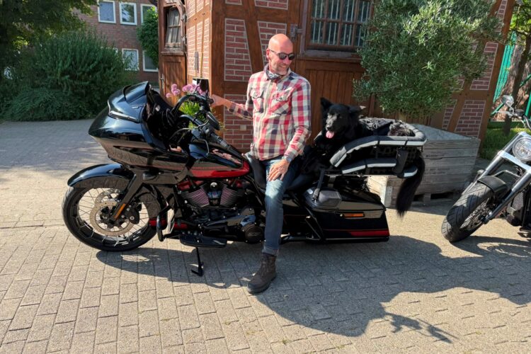 Road Glide mit Hundekorb – wenn Individualität keine Grenzen kennt