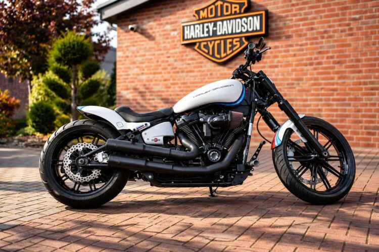 Harley-Davidson Breakout 114 Custom Umbau | Martini Design